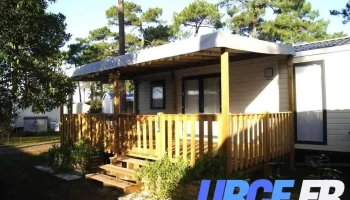 Bois 40 Sarl Graciette - Hinx