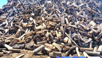 Bois Foret et Materiaux 86 Rouault - Vivonne