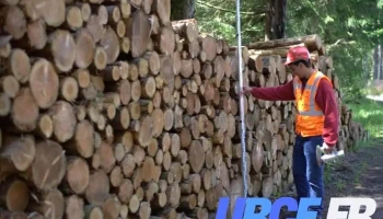 Comptoir des Bois de Brive - Saillat-Sur-Vienne