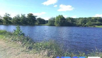 Etang de Peyrilhac - 87510 Peyrilhac
