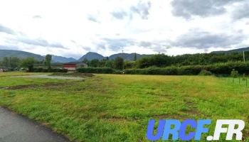 Eurl Scierie Bernadicou - Arette
