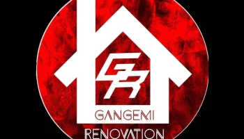 Gangemi rénovation - France
