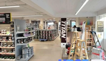 Reca Peintures - Pau