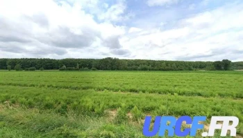 S.g.c Sté Granulats Condomois - Buzet-Sur-Baïse