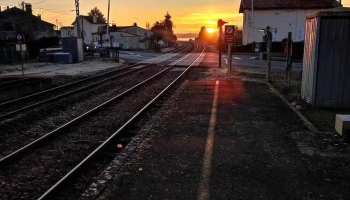 Saint-Médard-de-Guizières - France