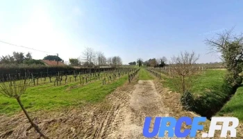 Sarl Condou Eric - 33490 Saint-Pierre-D'Aurillac