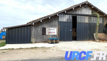 Scierie Neveu F - Braud-Et-Saint-Louis