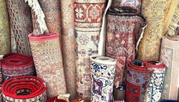Tapis Orientaux - Belcaza (uniquement sur Rdv) - La Rochelle