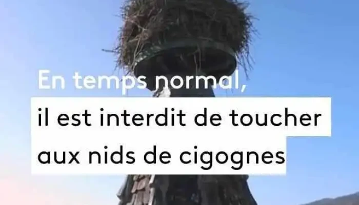Bigmat Toujas Coll Videos - Argelès-gazost
