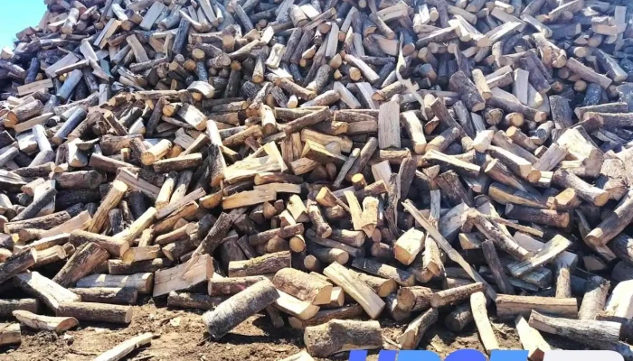 Bois Foret et Materiaux 86 Rouault - Vivonne