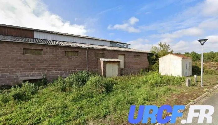 Bourdeau Daniel - Celles-Sur-Belle