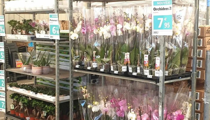 Brico Depot Interieur - Dissay