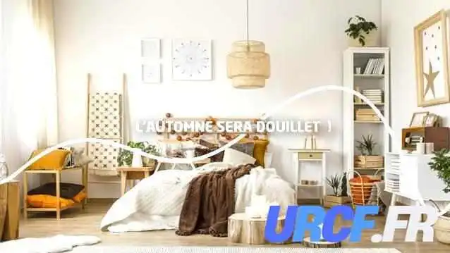 Bricomarche Cestas Interieur - Cestas