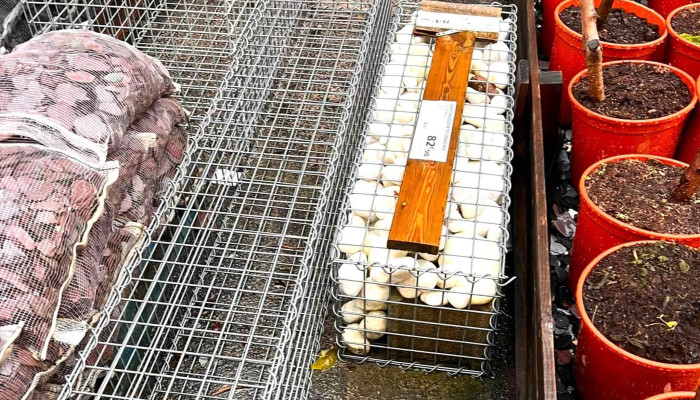 Bricomarche Saint Andre De Cubzac Ouvert Maintenant - Saint-andré-de-cubzac