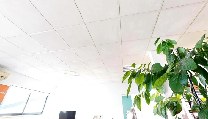 Bybatisol Batisol Plus Tout - Châtellerault