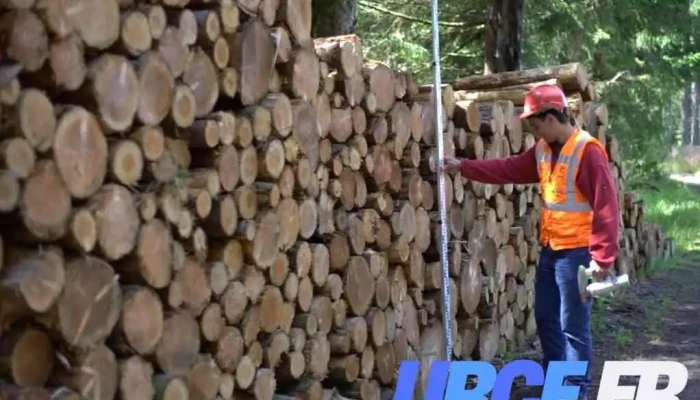 Comptoir des Bois de Brive - Saillat-Sur-Vienne