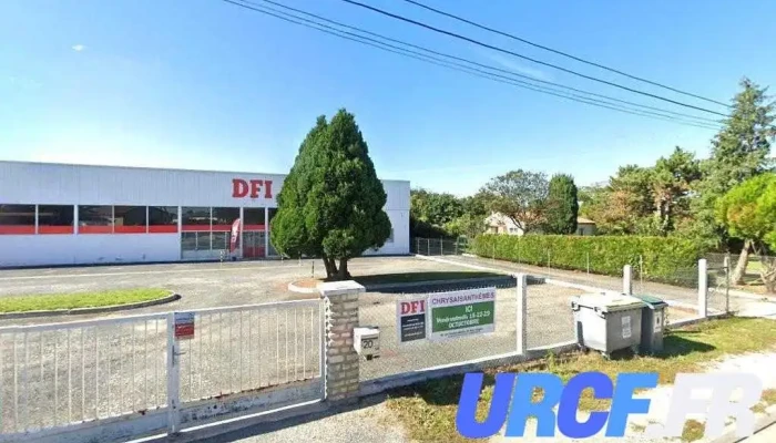 Dfi Sas - Aulnay