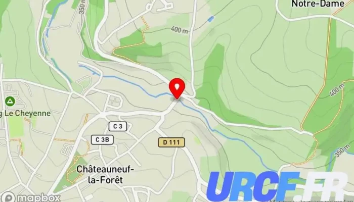 Faye Et Fils -  Carte - Châteauneuf-la-forêt