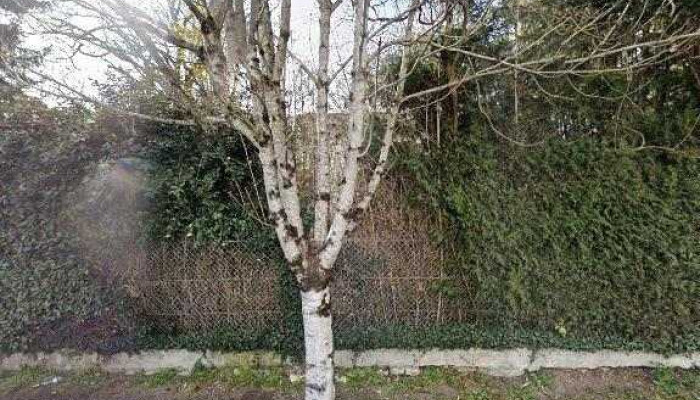 Frans Bonhomme Angouleme Tp -  Street View Et 360deg - Saint-yrieix-sur-charente