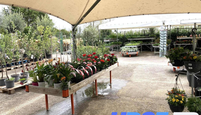 Gamm Vert -  Interieur - Castelmoron-sur-lot