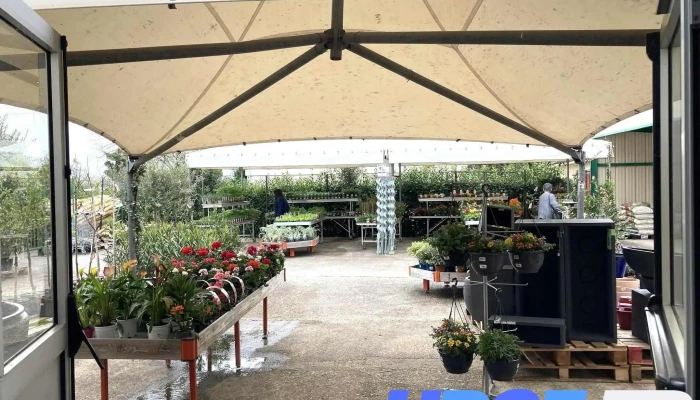 Gamm Vert -  Jardin - Castelmoron-sur-lot