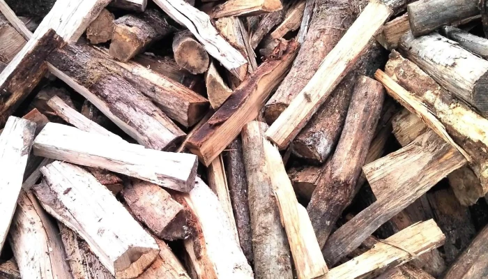 Les Bois Du Poitou -  Magasin De Bois De Chauffage - La Ferrière-en-parthenay