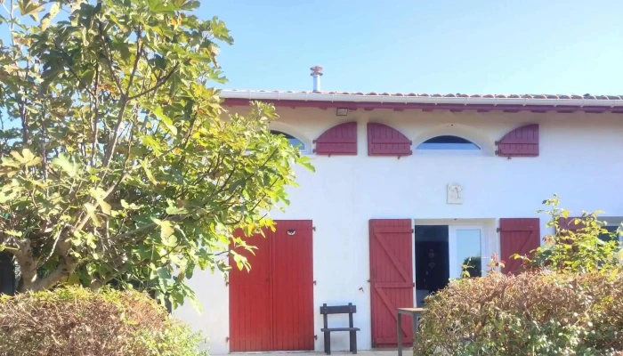 Margola Sas -  Magasin De Peinture - Hasparren