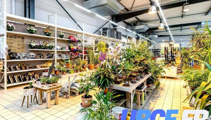 Mrbricolage Champniers   Angouleme Interieur - Champniers