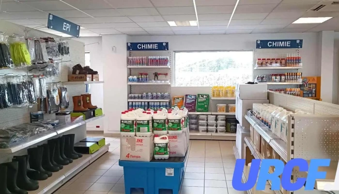 Mtp Marmande -  Photos Du Proprietaire - Marmande