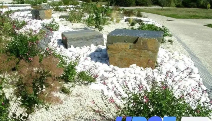 Ovive Sa Mer Et Decoration Fleur - Périgny