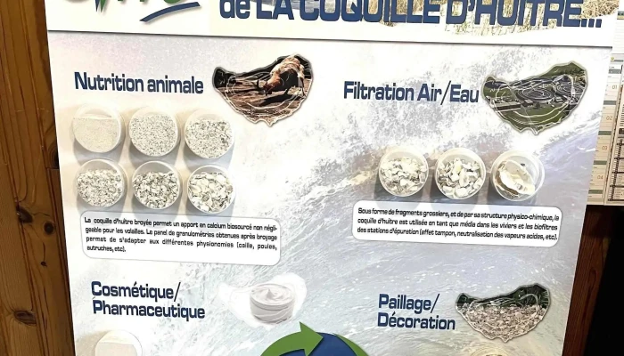 Ovive Sa "Mer et Décoration" - Périgny