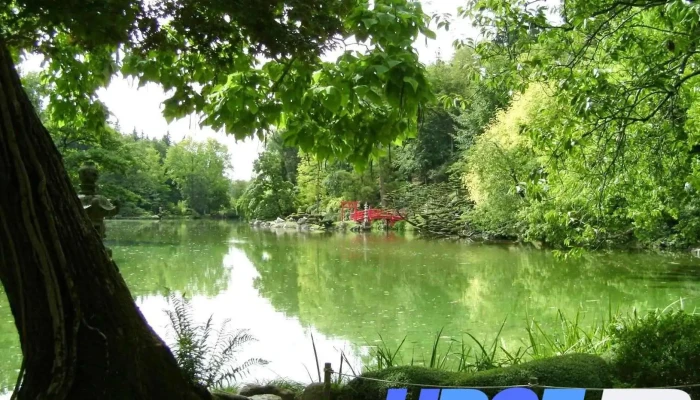 Ovive Sa Mer Et Decoration Photos Du Proprietaire - Périgny