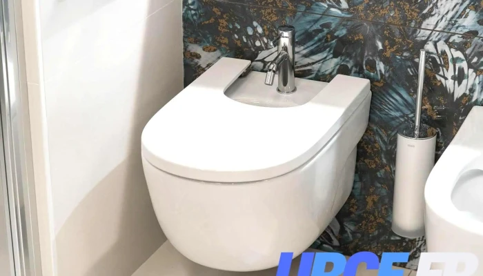 Partedis Expo Bains Carrelages   Lons Interieur - Lons