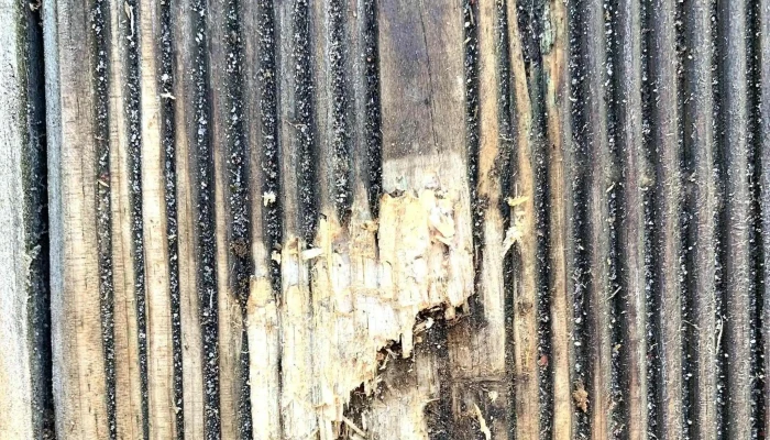 Rochette Scierie de Bois - Carcans