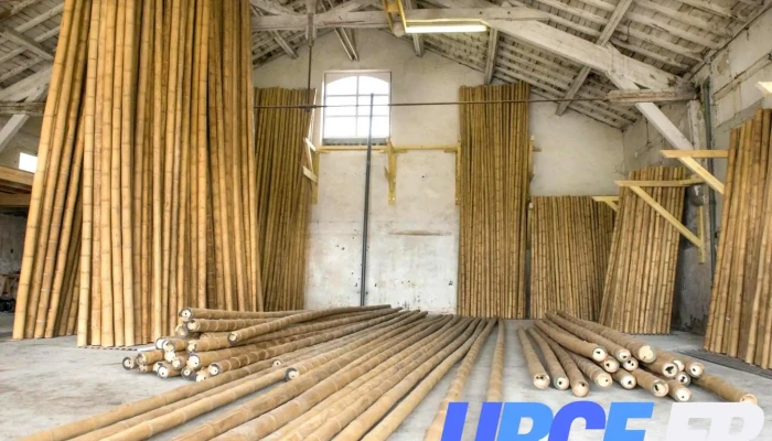 Sas Big Bamboo - 47210 Villeréal