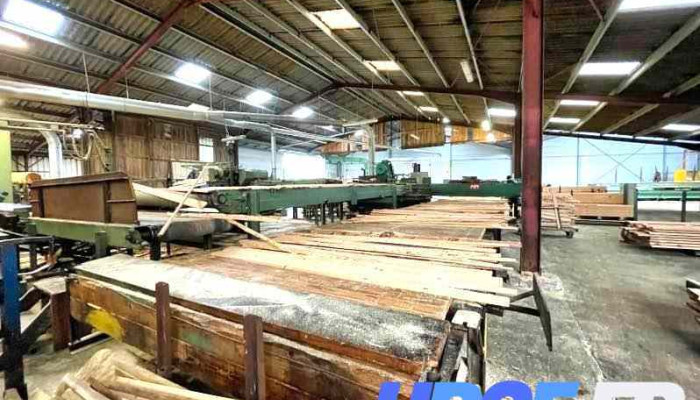 Sefc Scierie Exploitation Forestière Crouzet - 24580 Rouffignac-Saint-Cernin-De-Reilhac